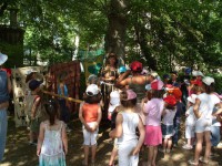 /album/galerie-photos/danse-percu-conte-enfant-jpg/